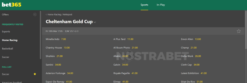 bet365 cheltenham betting