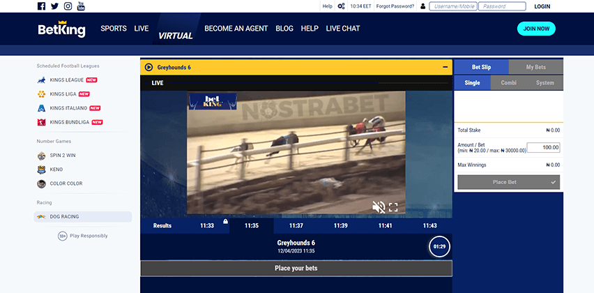 BetKing Virtual Sports